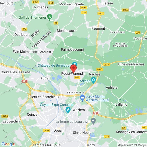 google map