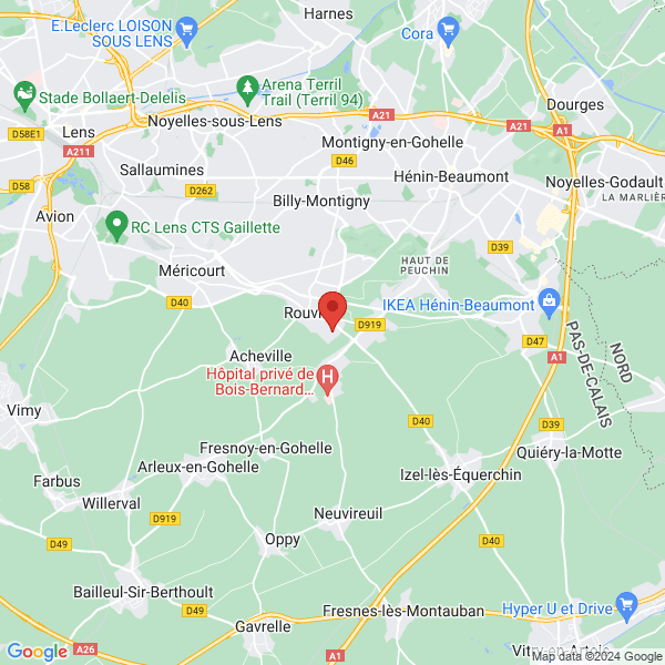 google map