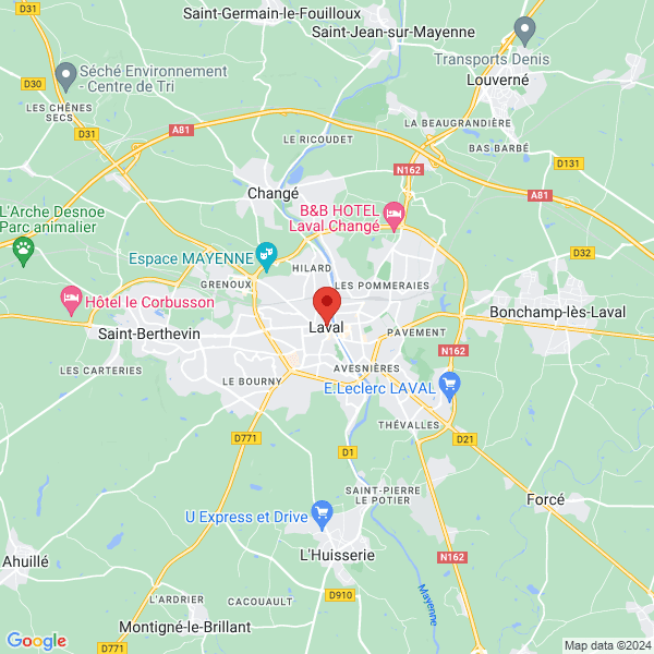 google map