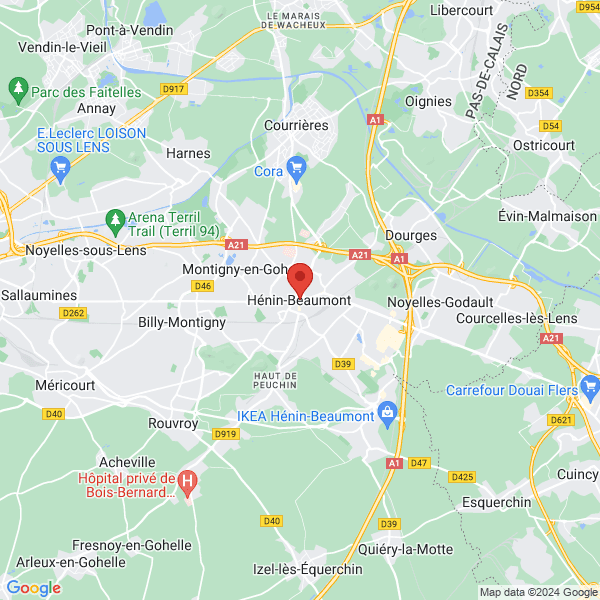 google map
